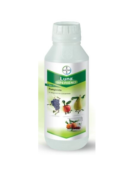 LUNA EXPERIENCE LT.1 Miglior Prezzo