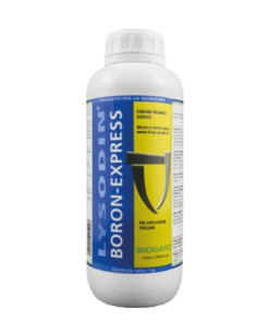 LYSODIN BORON EXPRESS KG.1 Miglior Prezzo