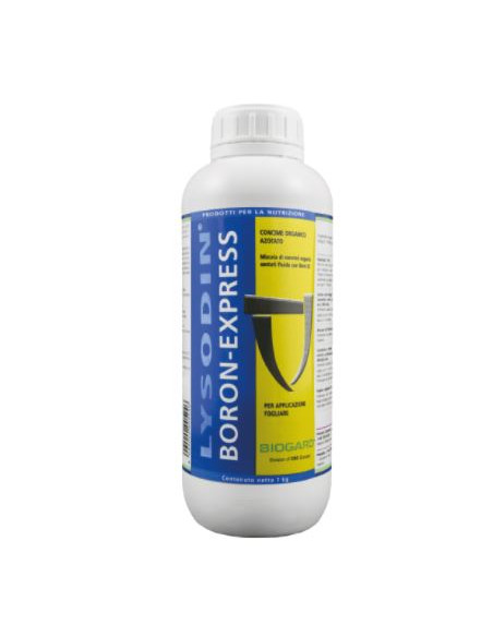 LYSODIN BORON EXPRESS KG.1 Miglior Prezzo
