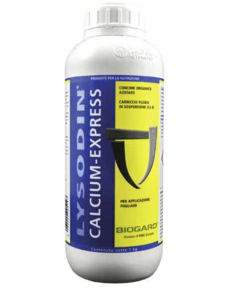LYSODIN CALCIUM EXPRESS KG.1 Miglior Prezzo