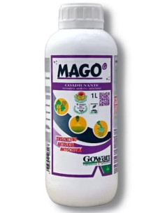 MAGO LT.1 (BAGNANTE) Miglior Prezzo