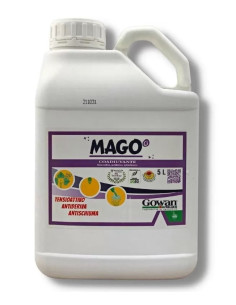 MAGO LT.5 (BAGNANTE) Miglior Prezzo