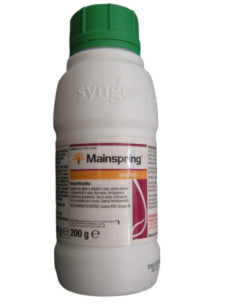 MAINSPRING SYNGENTA GR.200 Miglior Prezzo