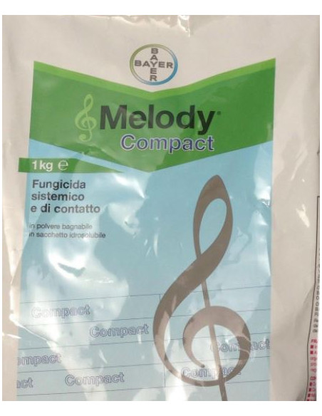 MELODY COMPACT KG.6 Miglior Prezzo