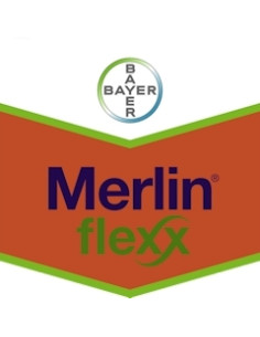 MERLIN FLEXX LT.2 Miglior Prezzo