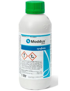 MODDUS LT.1 Miglior Prezzo