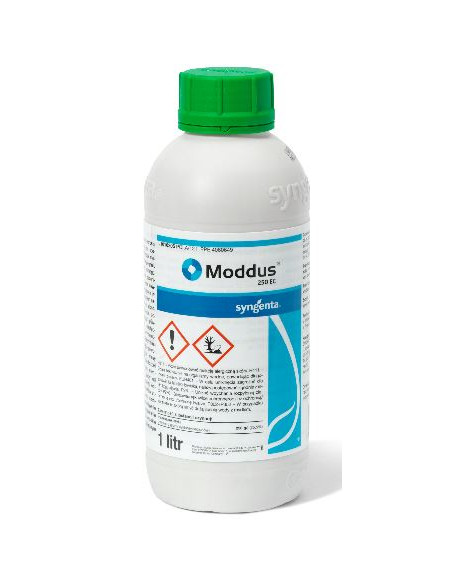 MODDUS LT.1 Miglior Prezzo