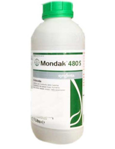 MONDAK 480 S LT.1 Miglior Prezzo