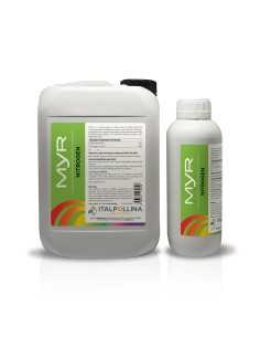 MYR AZOTO LT.1 Miglior Prezzo