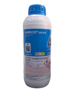 NIMROD 250 EW LT.1 Miglior Prezzo