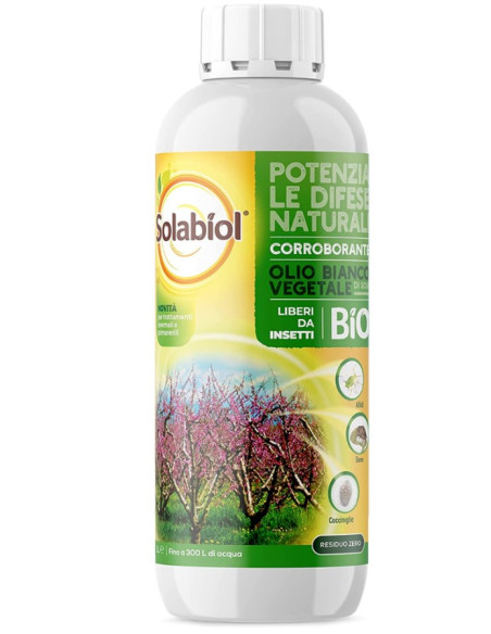 OLIO BIANCO VEGETALE DI SOIA LT.1 Miglior Prezzo