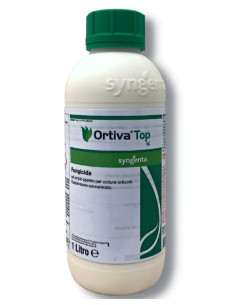 ORTIVA TOP LT.1 Miglior Prezzo