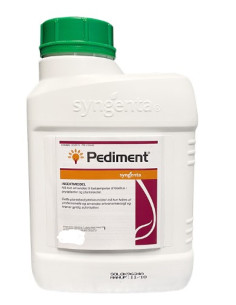 PEDIMENT GR.500 Miglior Prezzo