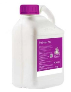 PIRIMOR 50 KG.1 Miglior Prezzo