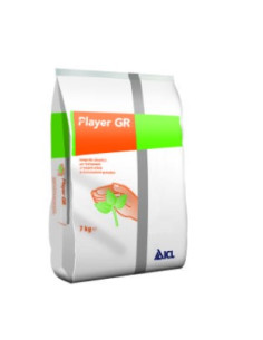 PLAYER GR KG.7 Miglior Prezzo