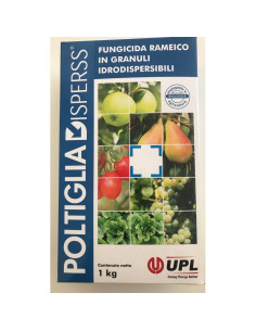 POLTIGLIA BORDOLESE DISPERSS BIO KG.1 Miglior Prezzo