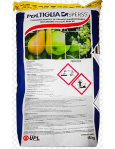 POLTIGLIA BORDOLESE DISPERSS N.C. 