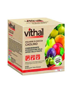 POLVERE DI ROCCIA CAOLINO KG.1 Miglior Prezzo