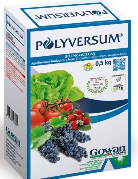 POLYVERSUM GR.500 Miglior Prezzo
