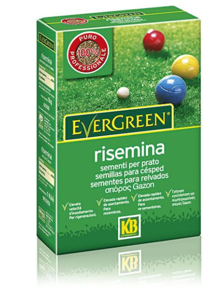 PRATO RISEMINA EVERGREEN KG.1 Miglior Prezzo