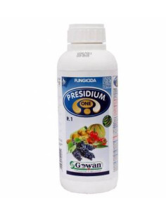 PRESIDUM ONE KG.1 Miglior Prezzo