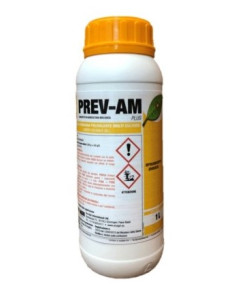 PREV AM PLUS LT.1 - ( LIMOCIDE ) Miglior Prezzo