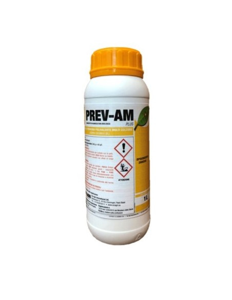 PREV AM PLUS LT.1 - ( LIMOCIDE ) Miglior Prezzo