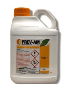 PREV AM PLUS LT.5 - ( LIMOCIDE ) Miglior Prezzo