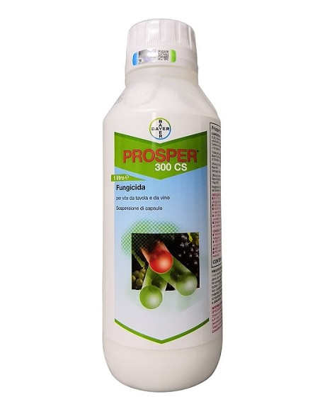 PROSPER 300 CS LT.1 Miglior Prezzo