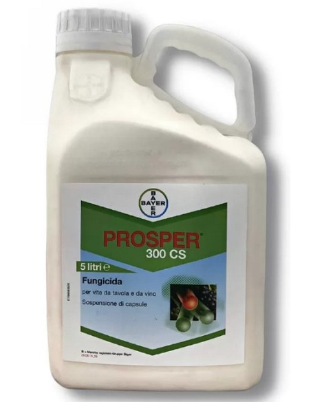 PROSPER 300 CS LT.5 Miglior Prezzo