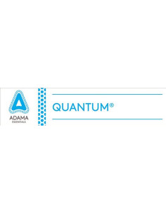 QUANTUM L LT.1 Miglior Prezzo