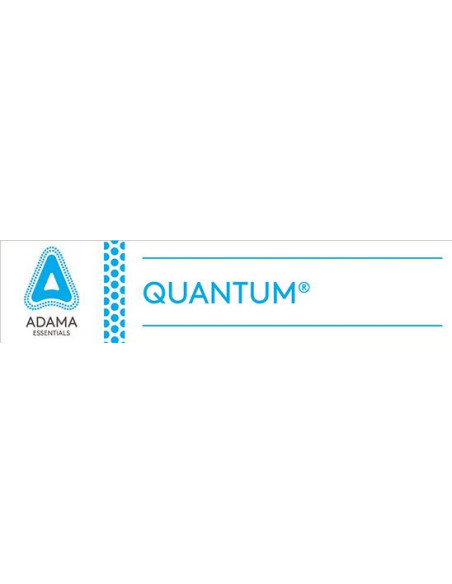 QUANTUM L LT.1 Miglior Prezzo