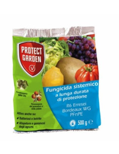 R6 BORDEAUX WG GR.500 Miglior Prezzo