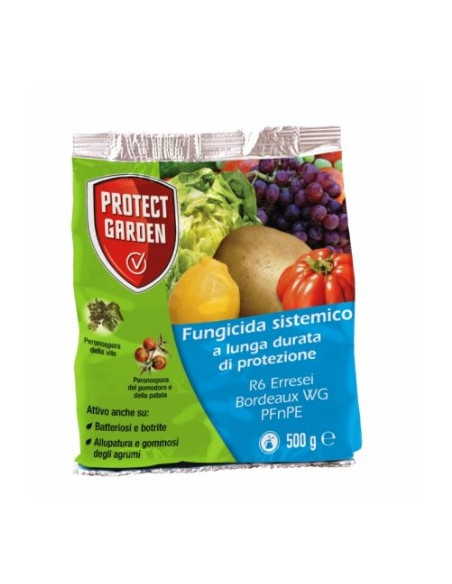 R6 BORDEAUX WG GR.500 Miglior Prezzo