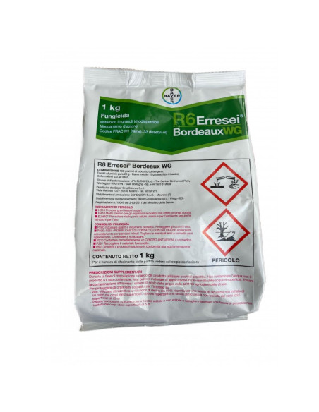 R6 BORDEAUX WG KG.1 Miglior Prezzo