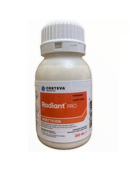 RADIANT PRO ML.250 Miglior Prezzo