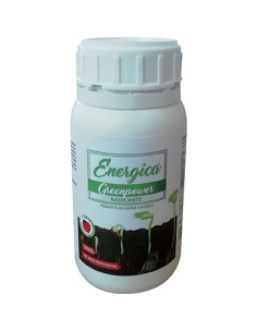RADICANTE IN POLVERE ENERGICA GR.100 Miglior Prezzo