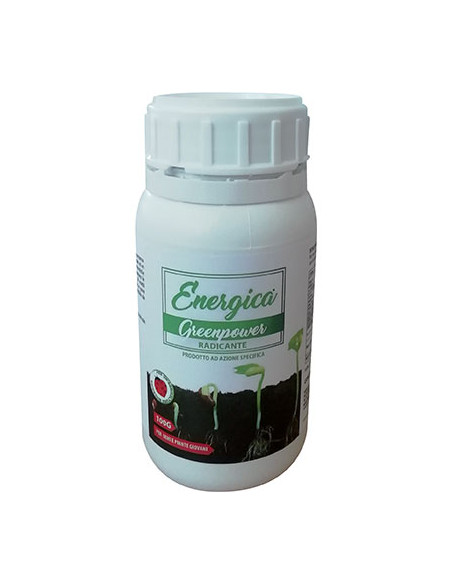RADICANTE IN POLVERE ENERGICA GR.100 Miglior Prezzo