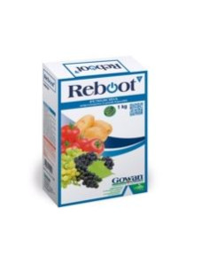 REBOOT GR.500 Miglior Prezzo