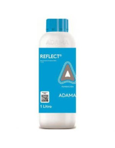 REFLECT LT.1 Miglior Prezzo