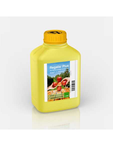 REGALIS PLUS KG.1,5 Miglior Prezzo