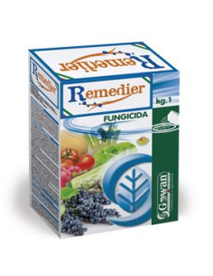 REMEDIER KG.1 Miglior Prezzo