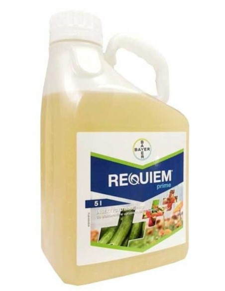 REQUIEM PRIME LT.5 Miglior Prezzo