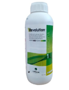REVOLUTION LT.1 Miglior Prezzo