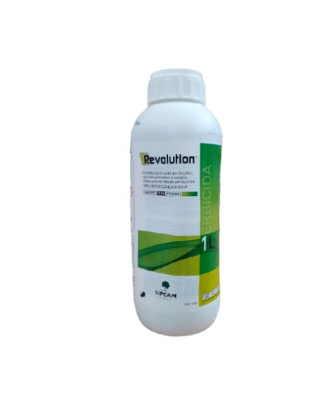 REVOLUTION LT.1 Miglior Prezzo
