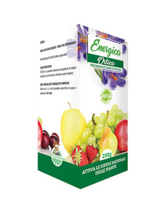 RINFORZANTE LIQUIDO ORTICA ENERGICA GR.200 Miglior Prezzo