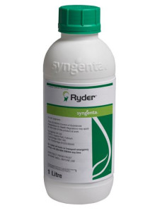 RYDER COLORANTE PER PRATI LT.1 Miglior Prezzo