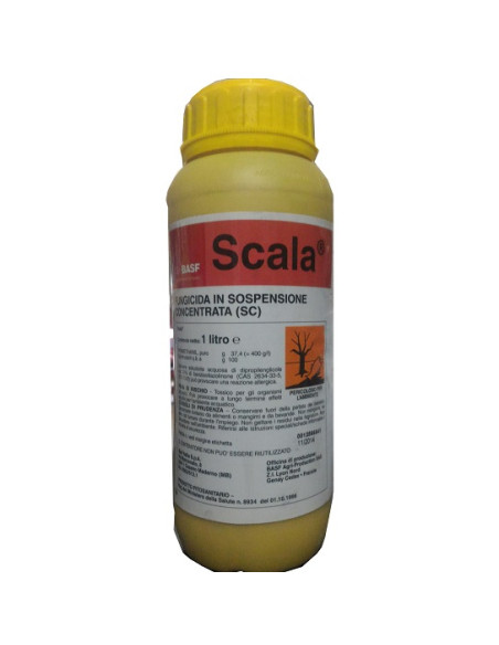 SCALA LT.1 Miglior Prezzo