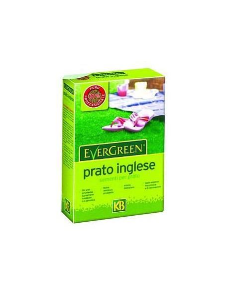 SEMENTI PER PRATO EVERGREEN INGLESE kg.1 Miglior Prezzo