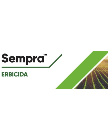 SEMPRA GR.150 ( PERMIT ) Miglior Prezzo